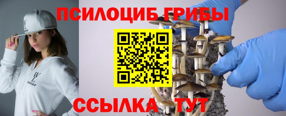 Зеленогорск  Галлюциногенные грибы мицелий  Вход с VPN 