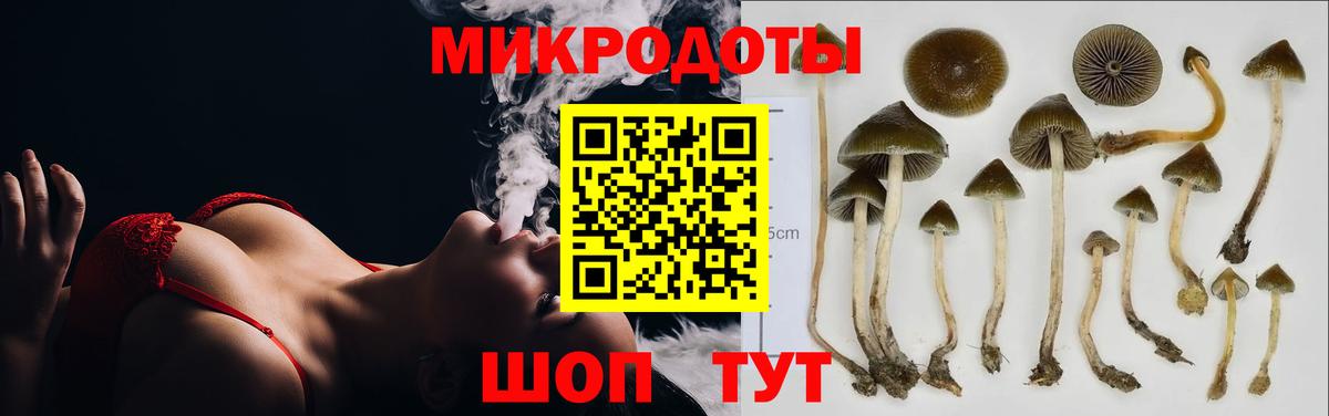 Галлюциногенные грибы Cubensis Зеленогорск