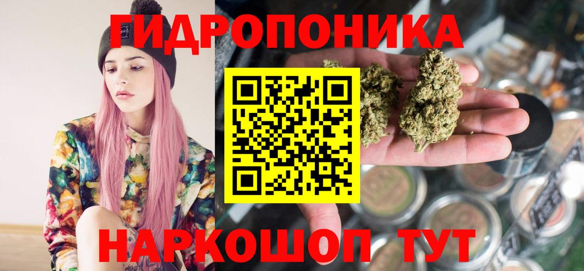 Канабис SATIVA & INDICA Зеленогорск